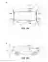 Fig. 09 - Automotive lighting device and a vehicle having the same
