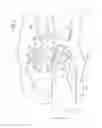 Fig. 04 - Attachment structure for lighting device