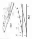 Fig. 08 - Rotational joint having preloading element for a railway car