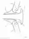 Fig. 18 - Stroller
