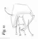 Fig. 13 - Rack for a bicycle having a seat