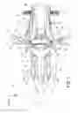 Fig. 03 - Front fender of saddle-type vehicle