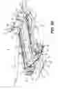 Fig. 24 - Six-wheel all-terrain vehicle