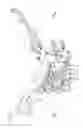 Fig. 02 - Motorcycle frame structure