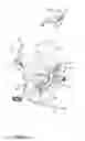 Fig. 07 - Foldable riding vehicle