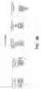 Fig. 42 - METHOD AND APPARATUS FOR CONTROLLING A MARINE VESSEL