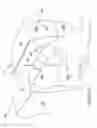 Fig. 09 - Carton and carton blank