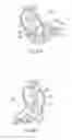 Fig. 08 - Device and method for singularized dispensing of solid portions