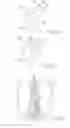 Fig. 20 - Device and method for singularized dispensing of solid portions