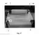 Fig. 08 - Frictionless Fast Rolling of Torah Scroll with or without Gearwheel