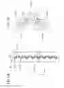 Fig. 14 - ELECTRODE STRUCTURAL BODY