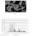 Fig. 02 - Method for synthesizing nano-lithium iron phosphate without water of crystallization in aqueous phase at normal pressure