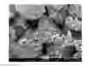 Fig. 01 - METHOD FOR MAKING LITHIUM IRON PHOSPHATE