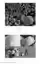 Fig. 02 - Synthesis of DDR framework-type molecular sieves