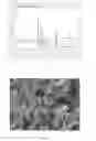 Fig. 03 - Synthesis of DDR framework-type molecular sieves