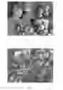 Fig. 05 - Synthesis of DDR framework-type molecular sieves