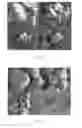 Fig. 06 - Synthesis of DDR framework-type molecular sieves