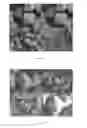 Fig. 11 - Synthesis of DDR framework-type molecular sieves