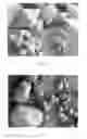 Fig. 12 - Synthesis of DDR framework-type molecular sieves