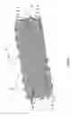 Fig. 08 - Apparatus for treating a fluid