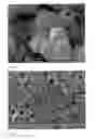 Fig. 03 - Mineral composition based on a mixed solid phase of calcium and magnesium carbonates and process for preparing such a composition