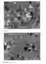 Fig. 05 - Mineral composition based on a mixed solid phase of calcium and magnesium carbonates and process for preparing such a composition