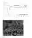 Fig. 07 - Mineral composition based on a mixed solid phase of calcium and magnesium carbonates and process for preparing such a composition