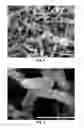 Fig. 03 - Method of making controlled morphology metal-oxides