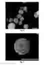 Fig. 05 - Method of making controlled morphology metal-oxides