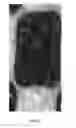 Fig. 03 - Marking coating