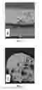 Fig. 04 - Marking coating