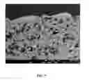 Fig. 05 - Marking coating