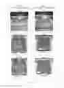 Fig. 05 - Granule for delivering humates and uses thereof