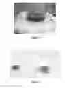 Fig. 06 - Organic waste processing