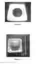 Fig. 09 - Organic waste processing