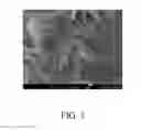 Fig. 02 - Preparation method of nanosheet nitrogen-containing porous carbon material