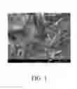 Fig. 04 - Preparation method of nanosheet nitrogen-containing porous carbon material