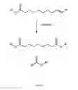 Fig. 02 - Processes for making azelaic acid and derivatives thereof