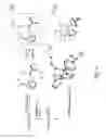 Fig. 03 - Dual site catalyst for mild, selective nitrile reduction