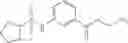Fig. 170 - COMPOUNDS FOR TREATING OPHTHALMIC DISEASES AND DISORDERS