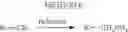 Fig. 281 - COMPOUNDS FOR TREATING OPHTHALMIC DISEASES AND DISORDERS