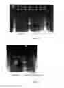 Fig. 08 - 3-aryl propiolonitrile compounds for thiol labeling