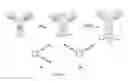 Fig. 16 - 3-aryl propiolonitrile compounds for thiol labeling