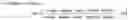 Fig. 03 - N-(4-hydroxy-4-methyl-cyclohexyl)-4-phenyl-benzenesulfonamides and N-(4-hydroxy-4-methyl-cyclohexyl)-4-(2-pyridyl)benzenesulfonamides and their therapeutic use
