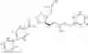Fig. 19 - Processes for the preparation of prostaglandin amides
