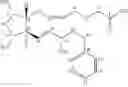 Fig. 23 - Processes for the preparation of prostaglandin amides