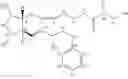 Fig. 31 - Processes for the preparation of prostaglandin amides
