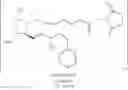 Fig. 32 - Processes for the preparation of prostaglandin amides