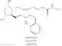 Fig. 33 - Processes for the preparation of prostaglandin amides