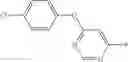 Fig. 119 - STROBILURIN TYPE COMPOUNDS FOR COMBATING PHYTOPATHOGENIC FUNGI